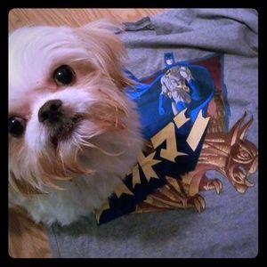 Batman tshirt only